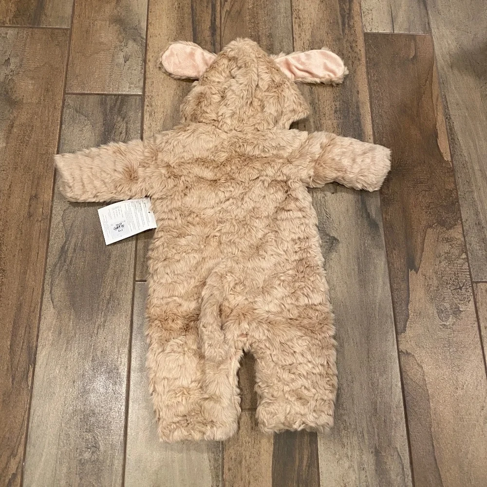 Baby Labradoodle Dog Halloween Costume (no tag) - Pottery Barn